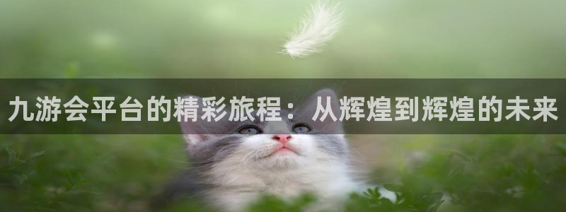 杏鑫娱乐体育4：九游会平台的精彩旅程：从辉煌到辉煌的未来