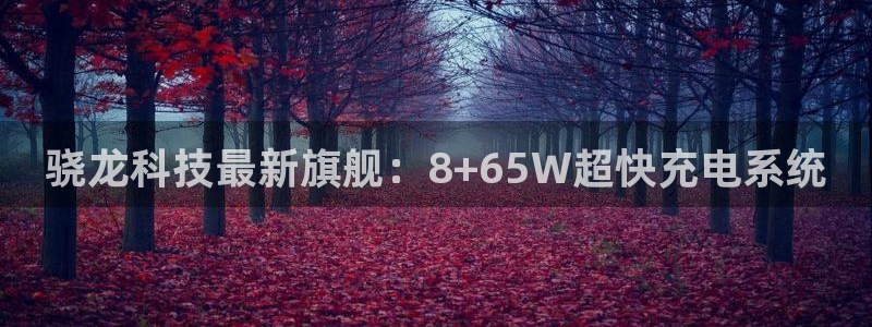 杏鑫娱乐3登录：骁龙科技最新旗舰：8+65W超快充电系统