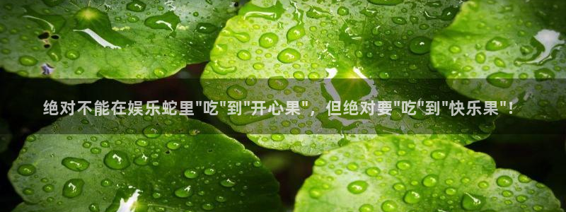 杏鑫娱乐平台招商：绝对不能在娱乐蛇里\