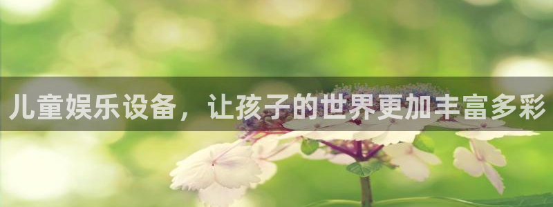 杏鑫娱乐主管：儿童娱乐设备，让孩子的世界更加丰富多彩