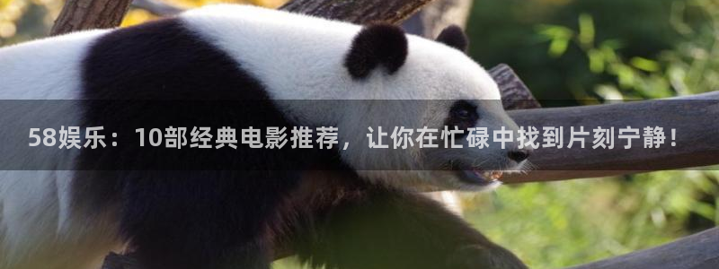 杏鑫娱乐vk：58娱乐：10部经典电影推荐，让你在忙碌中找到片刻宁静！