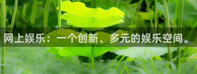 杏鑫娱乐3平台登录注册：网上娱乐：一个创新、多元的娱乐空间。