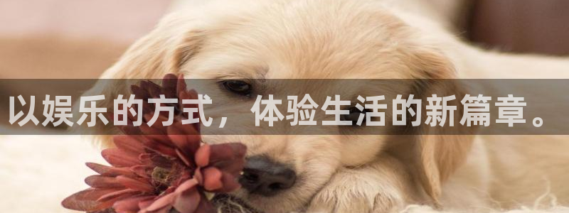 杏鑫娱乐3：以娱乐的方式，体验生活的新篇章。
