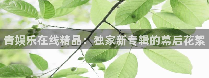 杏鑫娱乐2平台：青娱乐在线精品：独家新专辑的幕后花絮