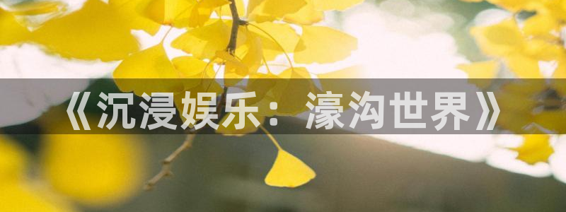 杏鑫娱乐平台开户：《沉浸娱乐：濠沟世界》