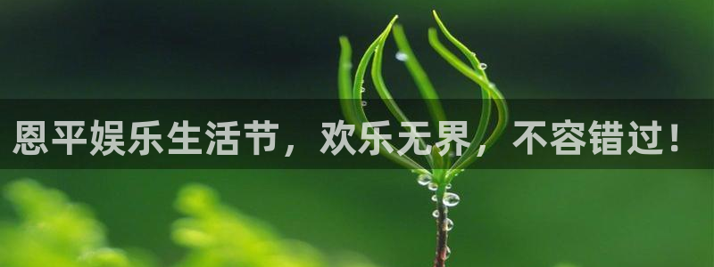 杏鑫娱乐平台在线开户：恩平娱乐生活节，欢乐无界，不容错过！
