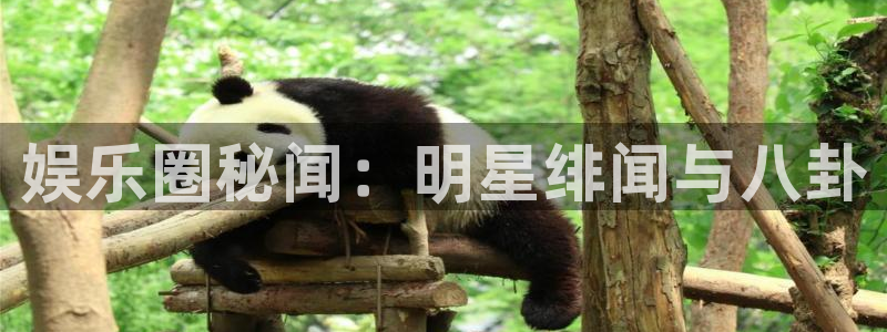 杏鑫娱乐3官网登录：娱乐圈秘闻：明星绯闻与八卦