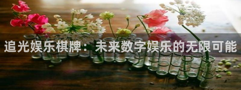 杏鑫娱乐体育：追光娱乐棋牌：未来数字娱乐的无限可能