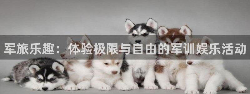 杏鑫娱乐4登录：军旅乐趣：体验极限与自由的军训娱乐活动