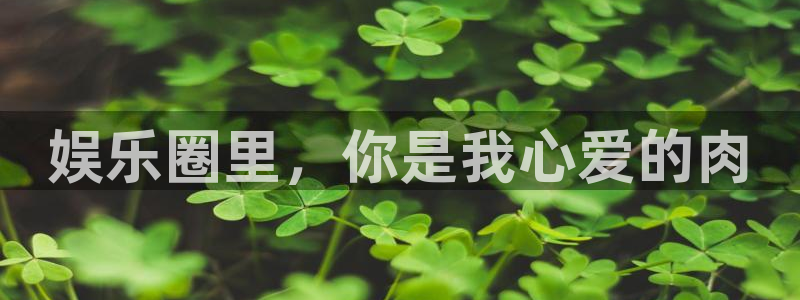 杏鑫娱乐体育在线注册：娱乐圈里，你是我心爱的肉