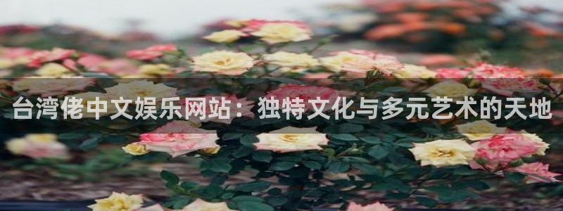 杏鑫娱乐体育官网：台湾佬中文娱乐网站：独特文化与多元艺术的天地
