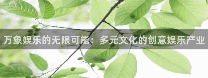 杏鑫娱乐平台开户链接：万象娱乐的无限可能：多元文化的创意娱乐产业