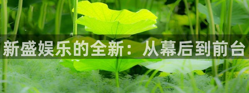 杏鑫娱乐体育app下载