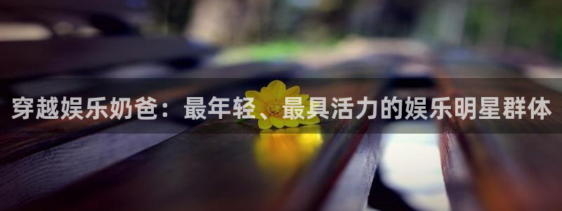杏鑫娱乐能源：穿越娱乐奶爸：最年轻、最具活力的娱乐明星群体