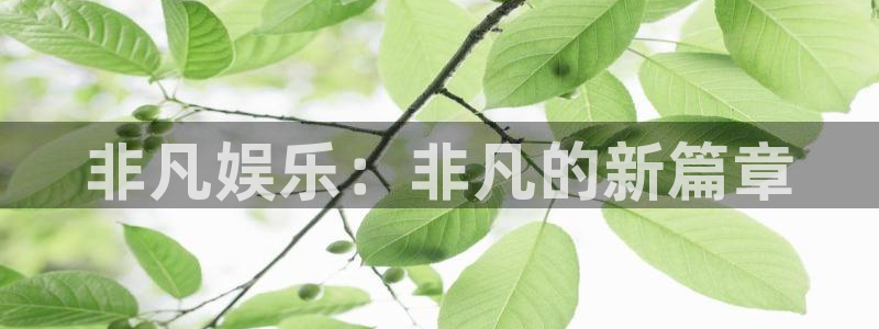 杏鑫娱乐代理：非凡娱乐：非凡的新篇章
