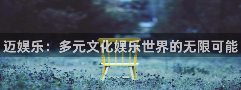 上海杏鑫娱乐汽车电子有限公司：迈娱乐：多元文化娱乐世界的无限可能