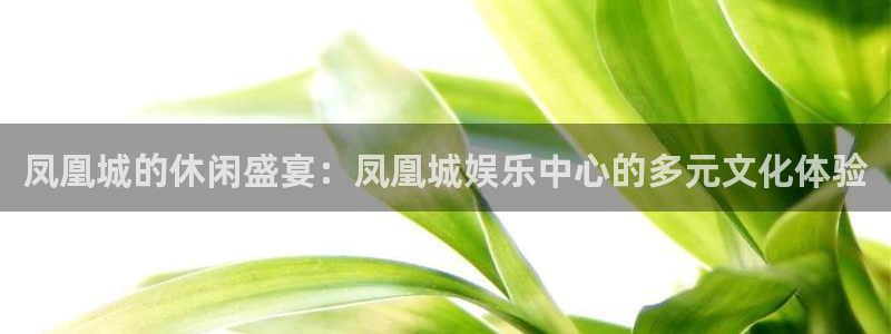 杏鑫娱乐体育凯捷平台代理：凤凰城的休闲盛宴：凤凰城娱乐中心的多元文化体验