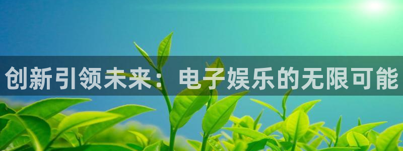 杏鑫娱乐体育凯捷平台招商：创新引领未来：电子娱乐的无限可能