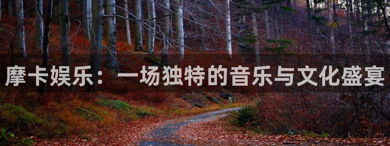 杏鑫娱乐体育和杏耀是哪个公司的：摩卡娱乐：一场独特的音乐与文化盛宴