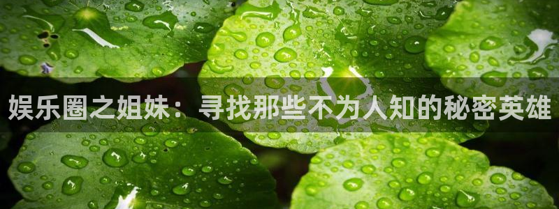 杏鑫娱乐体育平台注册：娱乐圈之姐妹：寻找那些不为人知的秘密英雄