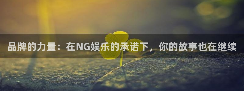 杏鑫娱乐体育注册平台：品牌的力量：在NG娱乐的承诺下，你的故事也在继续